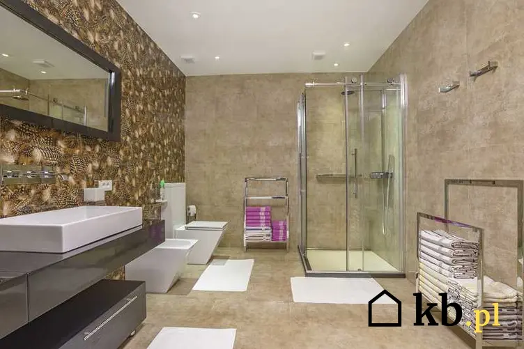 Kabina prysznicowa w dużej łazience, a także jak uszczelnić kabinę prysznicową samodzielnie krok po kroku w łazience