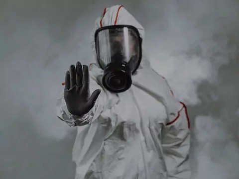 Pluskwy w mieszkaniu