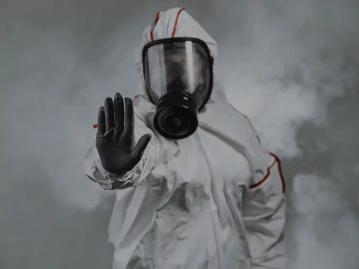 Pluskwy w mieszkaniu