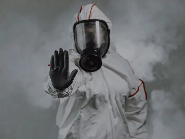 Pluskwy w mieszkaniu