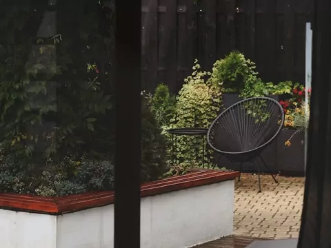 Jaką kosiarkę do ogrodu wybrać?