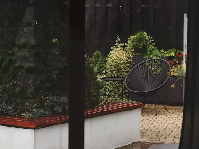 Jaką kosiarkę do ogrodu wybrać?