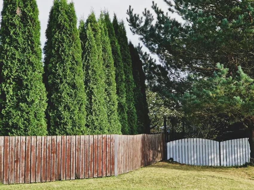 Privacy Trees