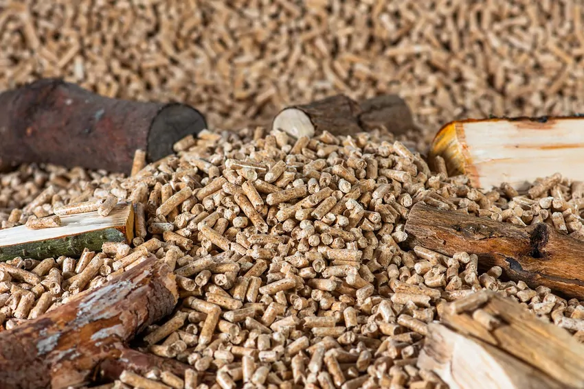 Wybierając pellet do ogrzewania domu, zwracaj uwagę na jego jakość, certyfikaty oraz pochodzenie surowca Pellet