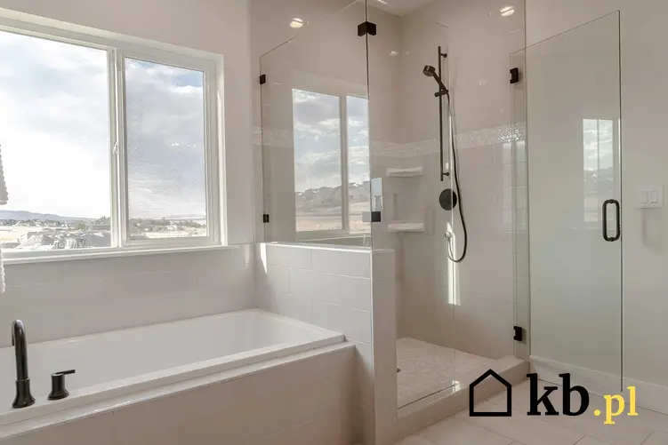 Panel prysznicowy w łazience, a także najlepsze panele, producenci, montaż, ceny, wady i zalety urządzeń