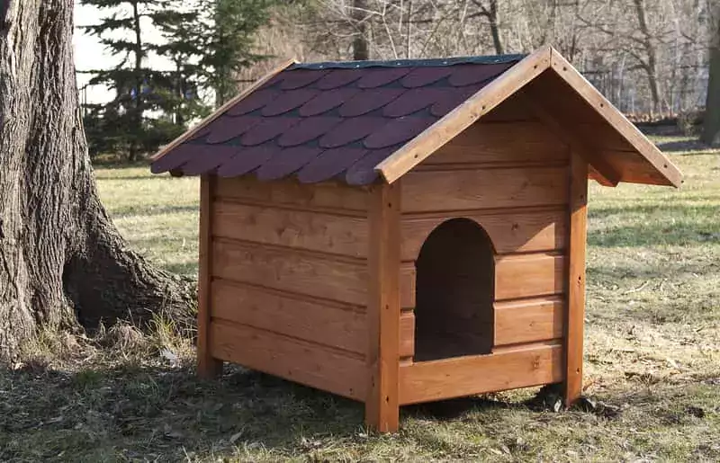 Samodzielne budowanie budy dla psa