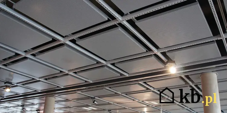 Nowoczesny strop panelowy to świetne rozwiązanie do bardzo wielu pomieszczeń. Często wykorzystuje się go w nowoczesnych budynkach biurowych.