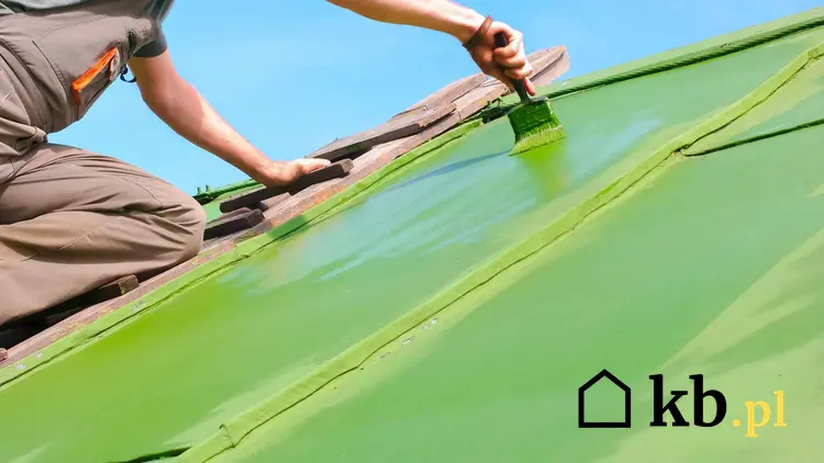 Malowanie dachu przez specjalistę farbą w zielonym kolorze za pomocą dużego pędzla stojącego na drabinie przymocowanej do dachu ze starej blachy
