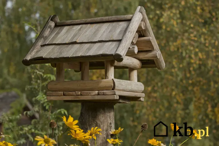 Drewniany karmnik dla ptaków w lesie, a także informacje, jak zrobić karmnik dla ptaków krok po kroku
