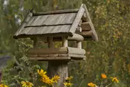 Karmnik dla ptaków - instrukcja