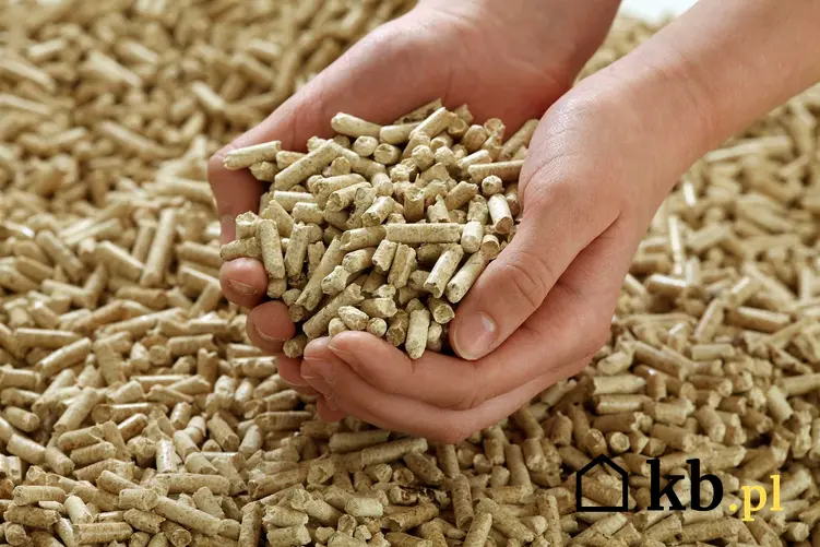 Ceny pelletu - sprawdzamy, ile kosztuje pellet opałowy za tonę. Koszt pelletu jest zależny od wielu czynników.