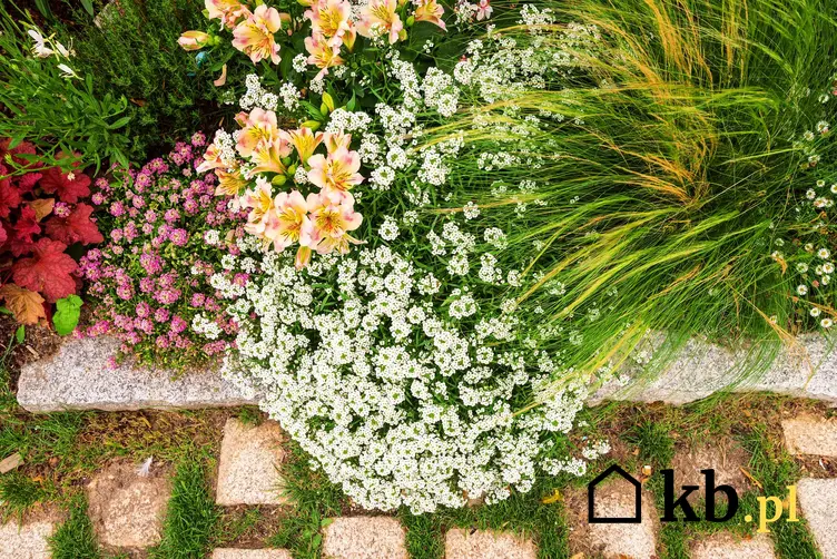 Płyty ażurowe w ogrodzie w towarzystwie kwiatów oraz porady, jak układać kostkę ażurową w ogrodzie lub na podjeździe