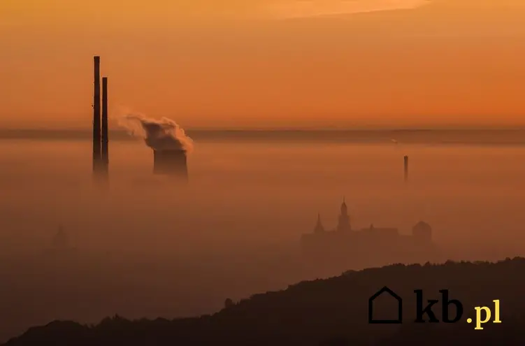 Od 1 września 2019 roku Kraków zakazuje opalania domów piecami na węgiel i drewno, aby zmniejszyć smog - sprawdź przepisy.