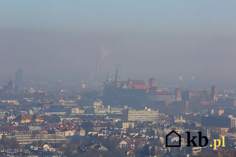 Czy nowe przepisy o ograniczeniu ogrzewania domów węglem i drewnem ograniczą smog w Krakowie? Przepisy ograniczają ilość smogu.