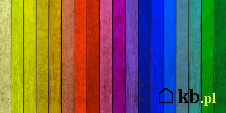 Farba do drewna akrylowa - próbki kolorów pomalowanych na drewnianych deseczkach w intensywnych kolorach ułożonych według widma tęczy