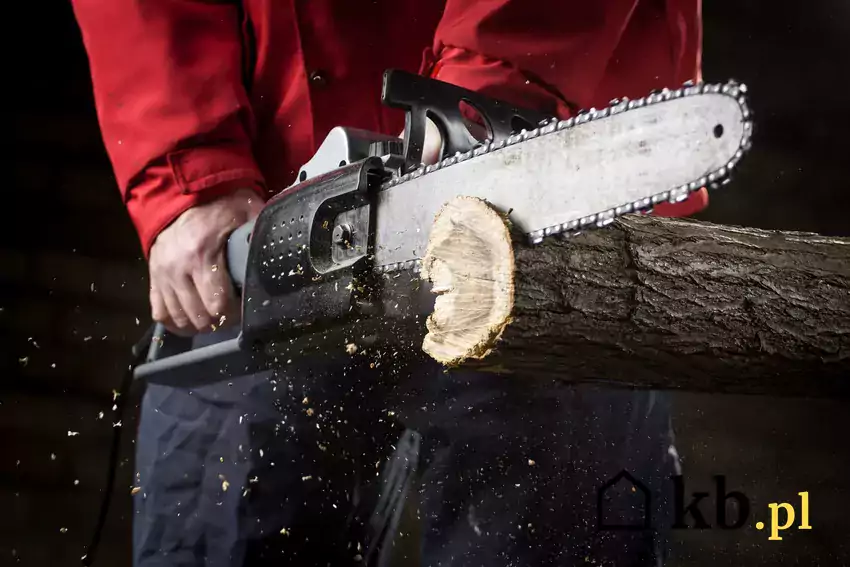 Cięcie drewna pilarką NAC