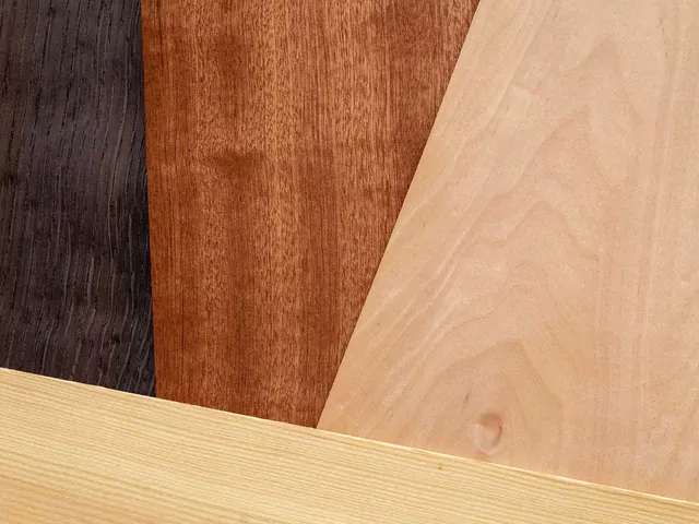 Samoprzylepna okleina na drzwi: opinie, porady