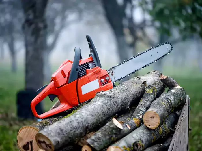 Piły spalinowe Stihl: modele i opinie