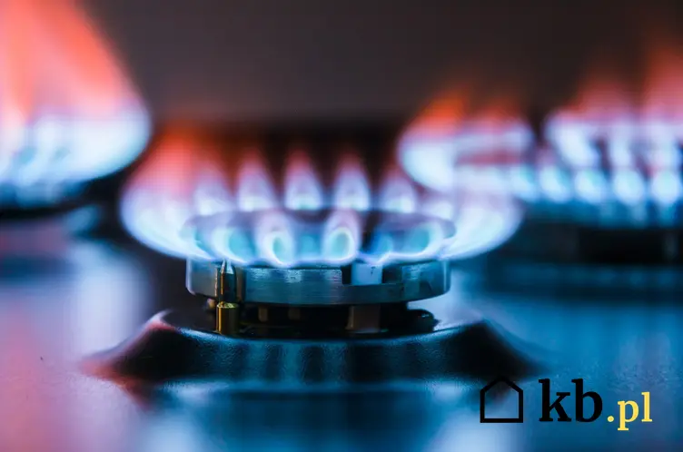 Jakie są ceny gazu ziemnego? Sprawdzamy krok po kroku