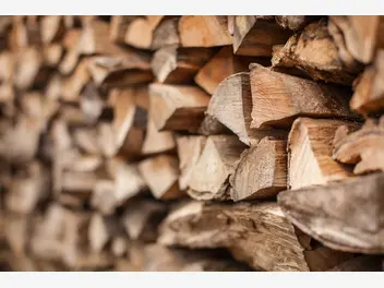 Ilustracja artykułu jak wybrać drewno opałowe? rodzaje drewna, opinie, ceny, porady
