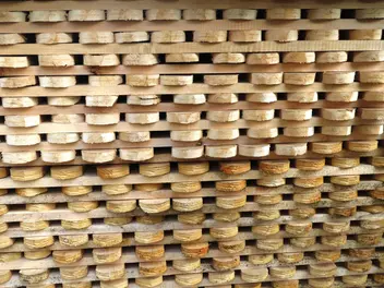 Ilustracja artykułu sztachety drewniane – rodzaje, ceny, opinie, porady