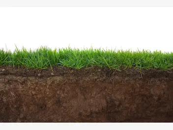 Ilustracja artykułu wybieramy ziemię pod trawnik – rodzaje, ceny, opinie, porady
