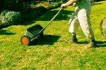 Nawożenie trawnika: poradnik i terminy