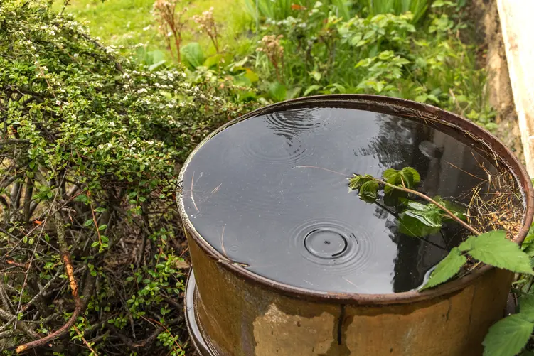 Korzyści płynące z posiadania zbiornika na deszczówkę