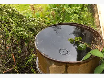 Ilustracja artykułu korzyści płynące z posiadania zbiornika na deszczówkę