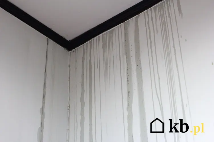 Mokre ściany w domu, czyli przeciekający dach i porady, jak naprawić cieknący dach