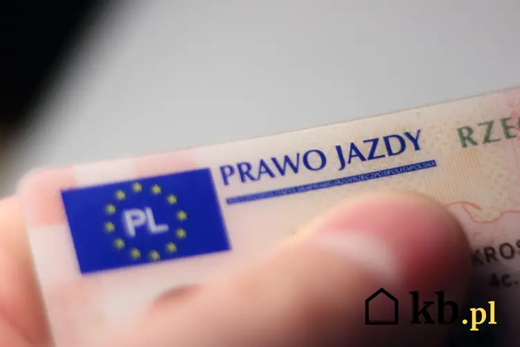 Prawo jazdy, a także samochód bez prawa jazdy, auto bez prawa jazdy w polskim prawie