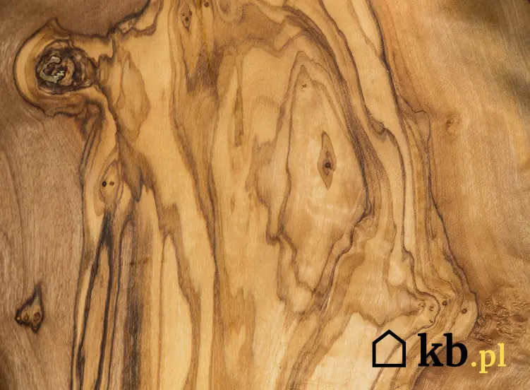 Drewno tekowe z bliska lub drzewo tekowe, a także właściwości drewna tekowego