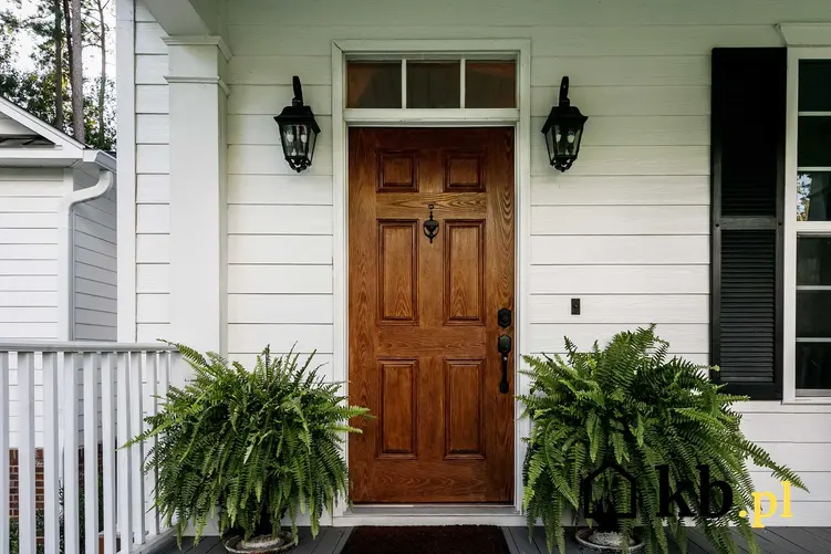 Drzwi drewniane zewnętrzne w domu jednorodzinnym, a także rodzaje, ceny, modele i opinie użytkowników