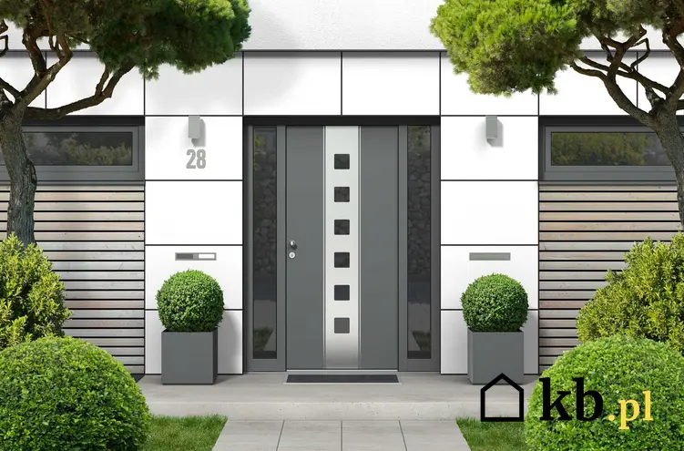 Drzwi zewnętrzne stalowe w nowoczesnym domu jednorodzinnym, a także sposób montażu, najlepsze modele i producenci, rozwiązania
