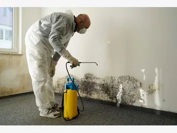 Ilustracja artykułu jak usunąć grzyba ze ściany? sposoby, środki, porady