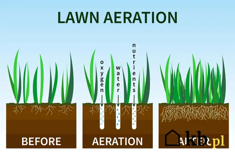 Schemat przedstawiający stan trawy przed aeracją w trakcie aeracji i po aeracji, w jakiej porze roku wykonywać napowietrzanie trawnika