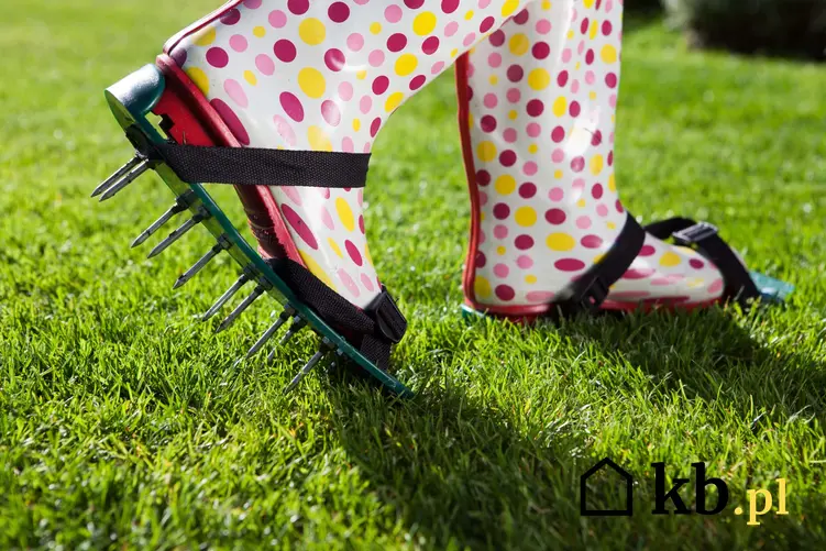 Kolorowe gumowce z doczepionymi nakładkami posiadającymi długie kolce, kolce do napowietrzania trawnika, prosty sposób na aerację trawnika
