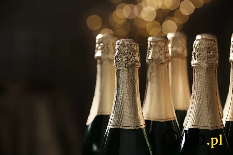 Oryginalne szampany z Szampanii, a także cena szampana oraz ile kosztuje najlepszy szampan krok po kroku