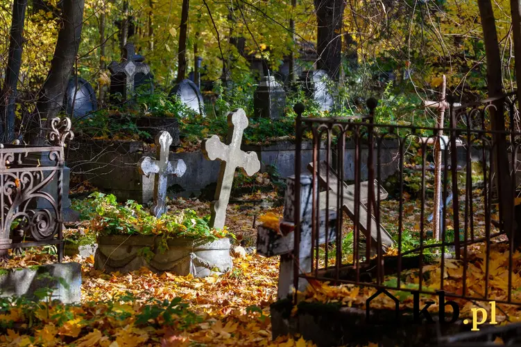 Zaniedbany cmentarz, opuszczony cmentarz, jakie obowiązki mają właściciele nagrobka, kto powinien sprzątać grób zmarłego