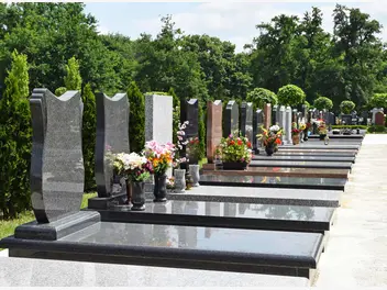 Ilustracja artykułu miejsca na cmentarzach, ceny i nagrobki. ile kosztuje miejsce na cmentarzu i od czego zależy?