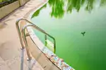 Zielonkawa woda w basenie: przyczyny i klarowanie