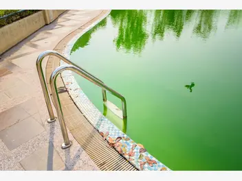 Ilustracja artykułu dlaczego w basenie robi się zielonkawa woda? przyczyny, sposoby klarowania