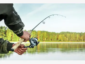 Ilustracja artykułu łowienie ryb bez karty wędkarskiej – co na to prawo?