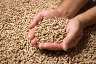 Produkcja pelletu: surowce i proces