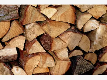 Ilustracja artykułu gdzie kupić tanio drewno opałowe? sprawdź, gdzie szukać ofert
