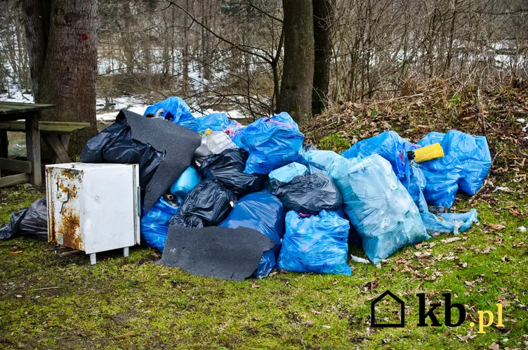 Śmieci i gabaryty wyrzucone do lasu, a także informacje, czego nie wolno robić w lesie, a co wolno