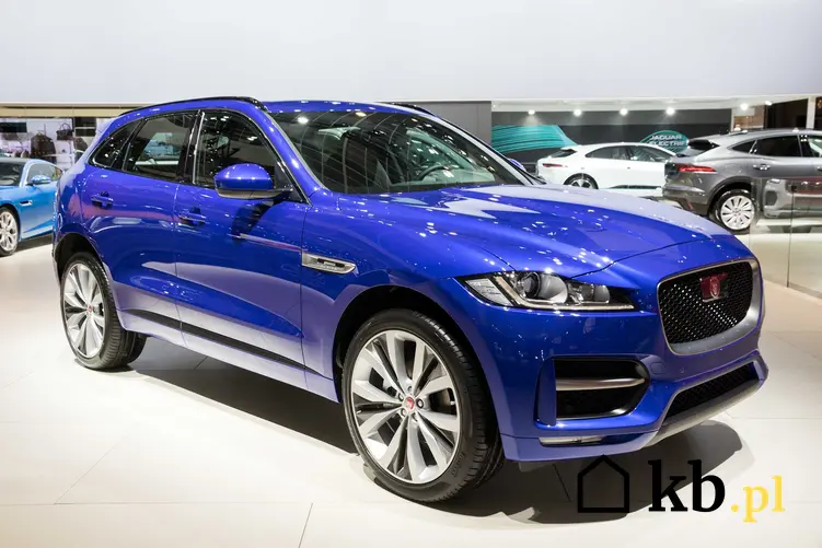 Nowy model Jaguara, a także ile kosztują różne modele samochodów i cena Jaguara