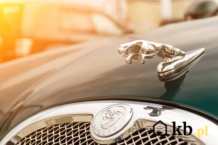 Logo Jaguara, a także ile kosztuje Jaguar, czyli cena różnych modeli samochodu Jaguar