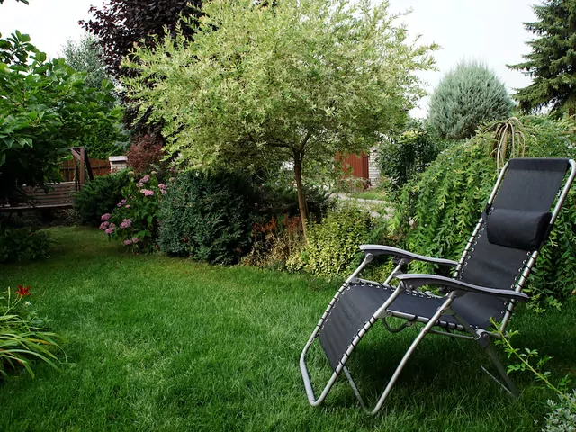 Leżaki do ogrodu na VidaXL