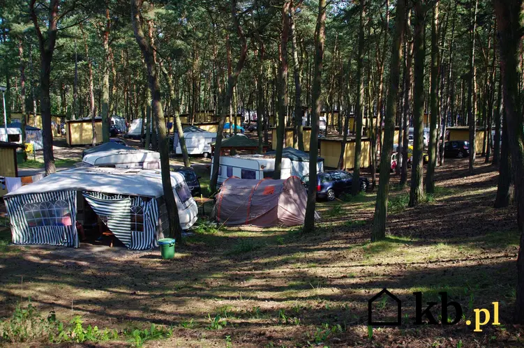 Pole namiotowe i kempingowe w lesie, a także cennik pól namiotowych w Polsce i w Europie krok po kroku